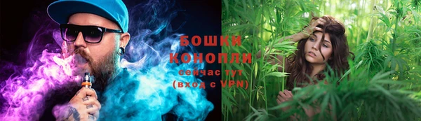 mdpv Костерёво