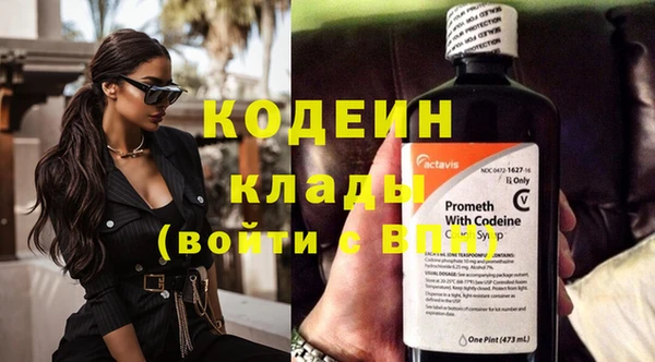 гидра Козловка