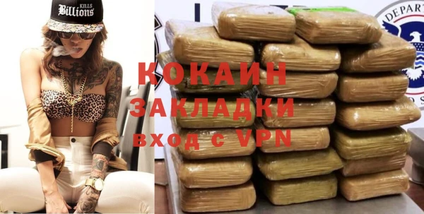гидра Козловка