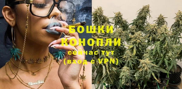 гидра Козловка